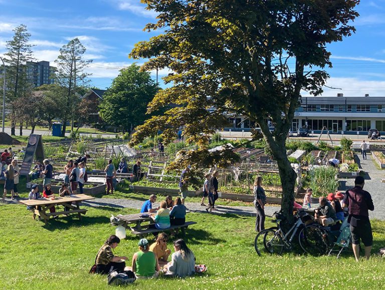 Various small groups of people socialize in an outdoor urban farm.